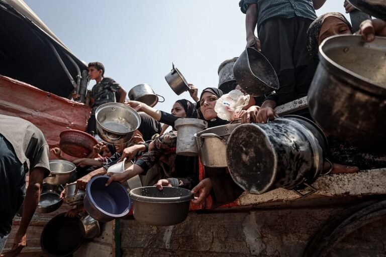 WhatsApp Image 2026-02-23 at 4.24.51 PM