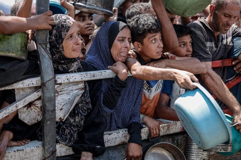 WhatsApp Image 2026-02-23 at 4.40.24 PM