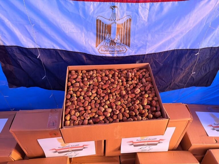 WhatsApp Image 2026-03-04 at 4.06.36 PM